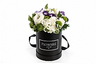 BOX016 Flowerbox z kwiatów żywych